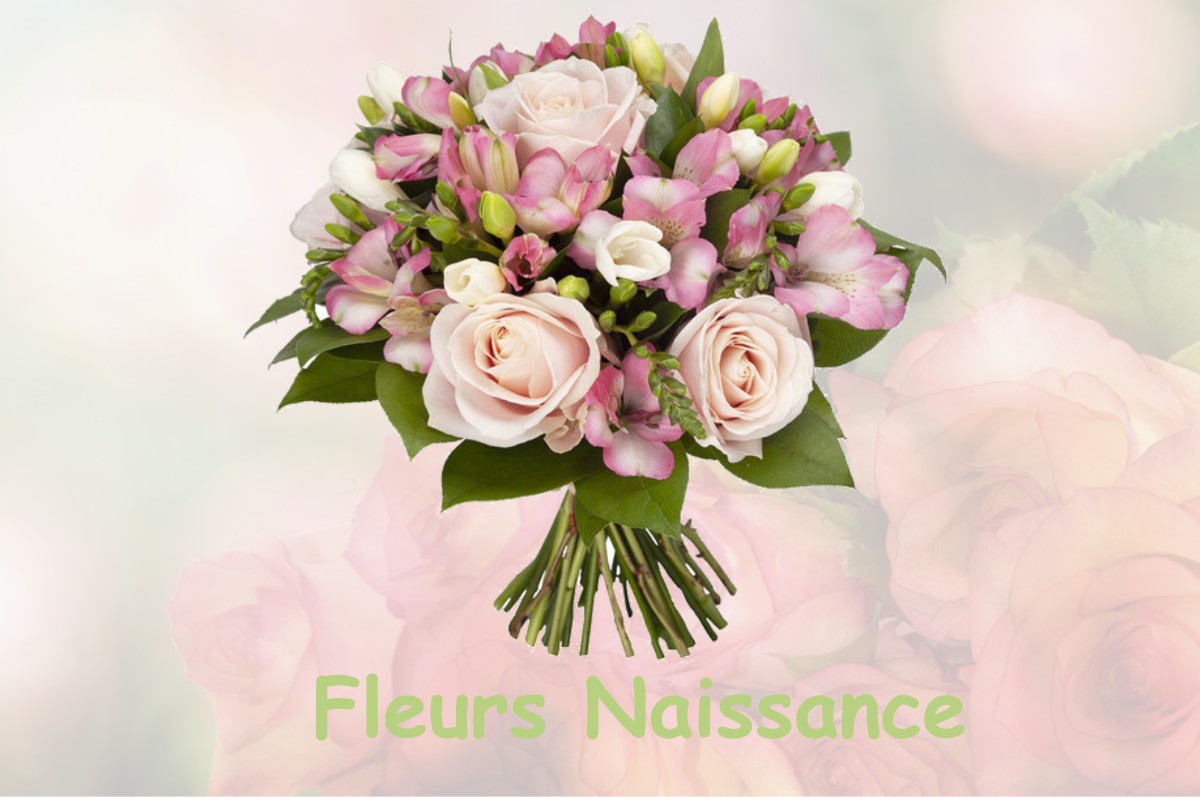 fleurs naissance LABASTIDE-SAINT-PIERRE